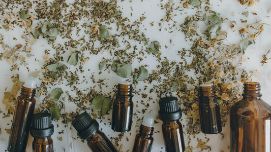The History of Herbal Tinctures - Of The Ancients | Master-Crafted Herbal Tinctures