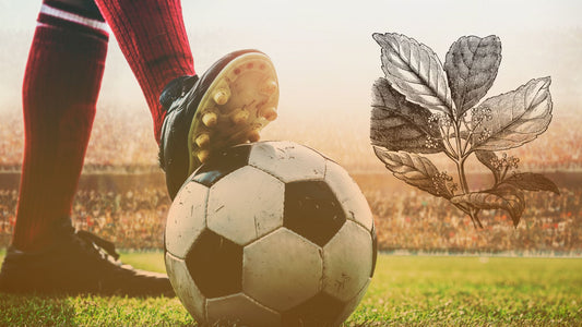 Lionel Messi Loves Yerba Mate, And For Good Reason