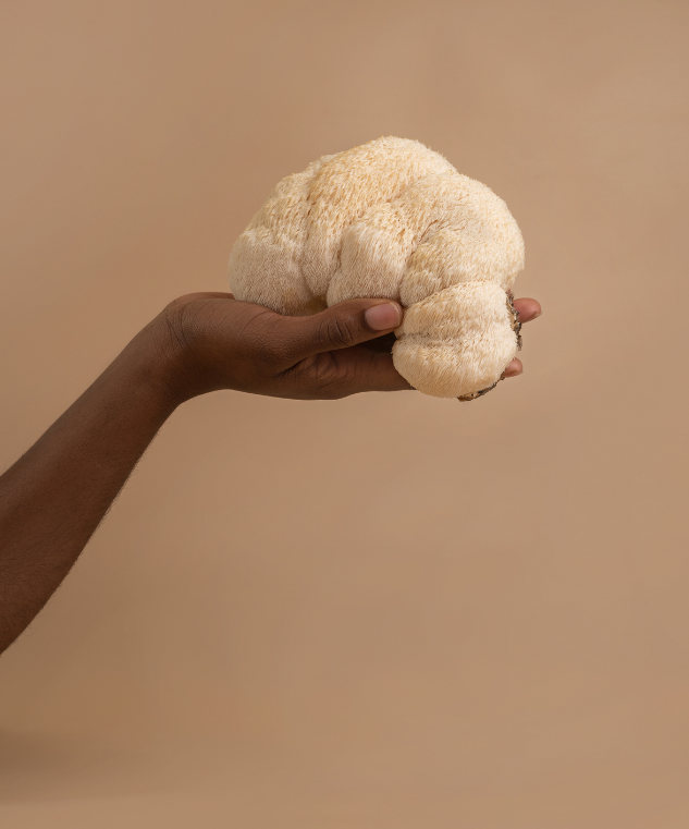 Mushroom