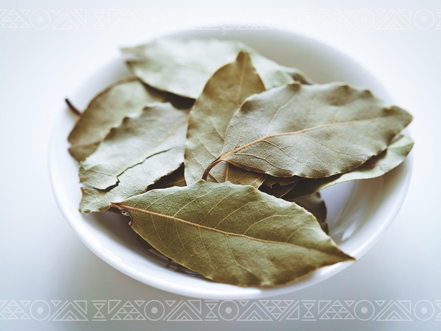 bayleaf_branded - Of The Ancients Herbal Tinctures