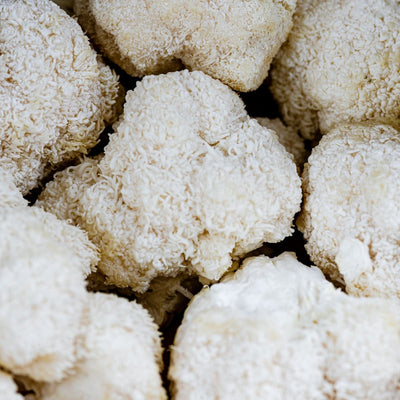Alpha vs Beta Glucans: Why the Letter Matters