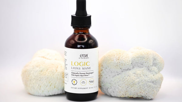 Of The Ancients Announces New Logic Lion's Mane Nootropic With Clinically Proven MycoThrive