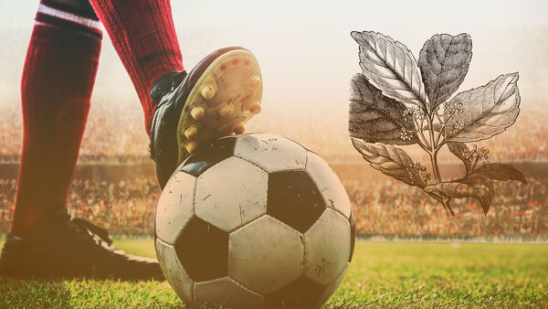Lionel Messi Loves Yerba Mate, And For Good Reason