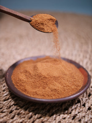 Mushroom Powder vs Extract: Which Actually Does Anything?