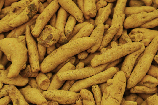 Fresh turmeric root and ground turmeric powder