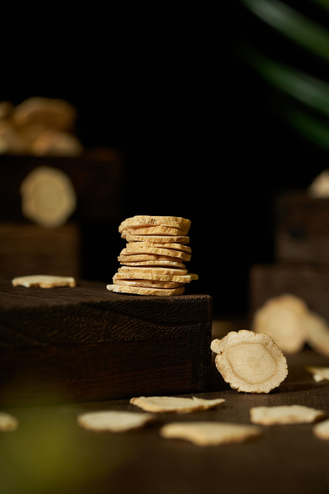 A stack of dried sliced root used in traditional herbal preparation