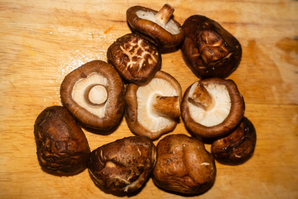 Shiitake Mushroom: Benefits and Uses