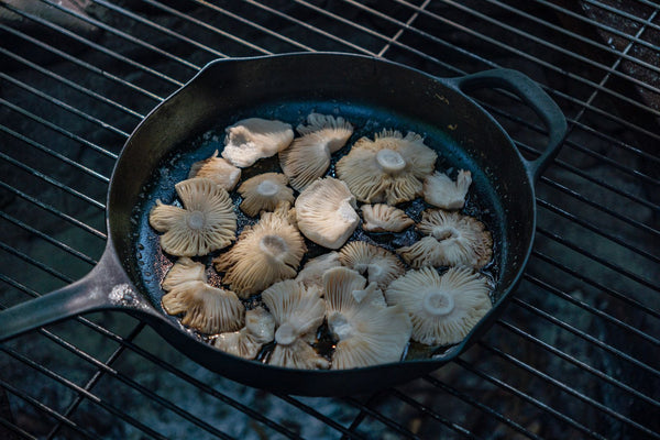 How to Cook Lion's Mane Mushroom