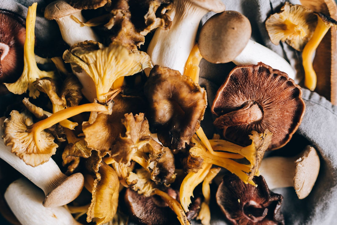 A cluster of golden frilled wild mushrooms arranged on a dark surface