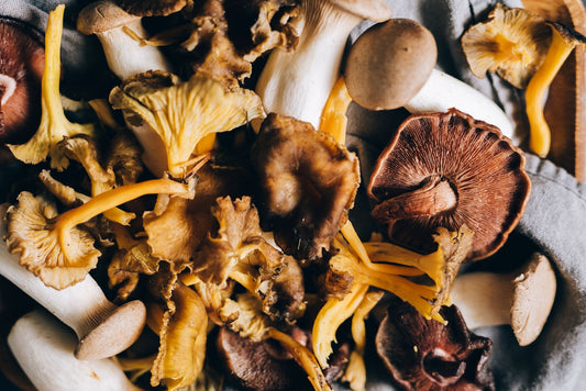 A cluster of golden frilled wild mushrooms arranged on a dark surface