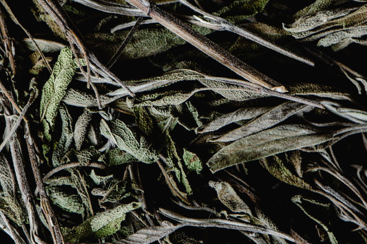 Dried herbs and botanicals on a table