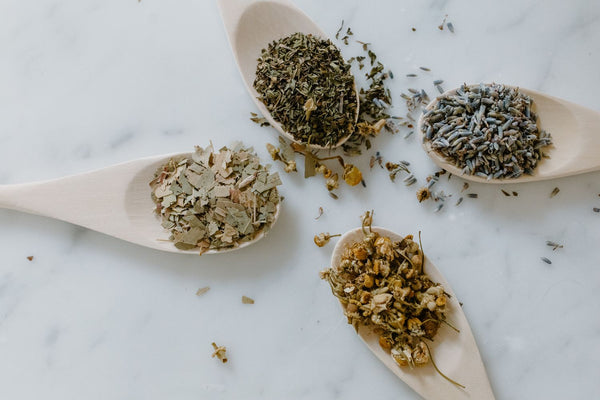 What Are Adaptogens? A Plain-English Guide