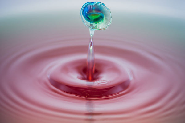 What Is Bioavailability, and Why Does It Decide Everything?