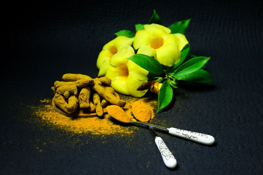Fresh turmeric root beside ground turmeric powder