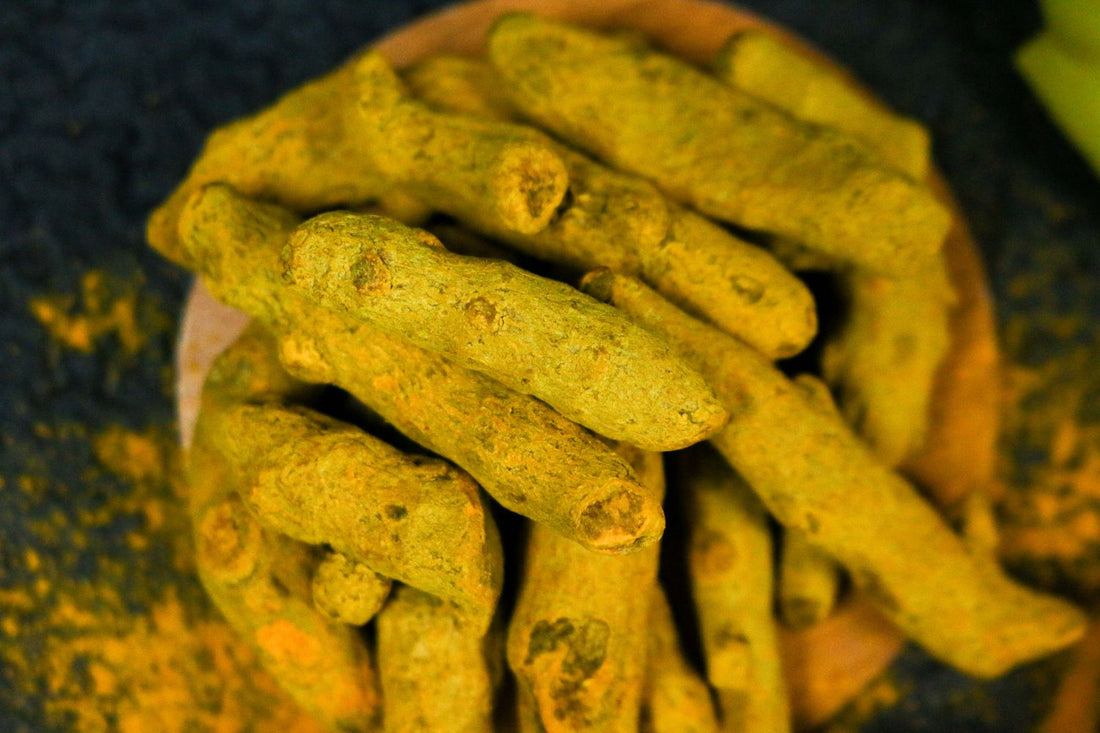 Fresh turmeric root and powder
