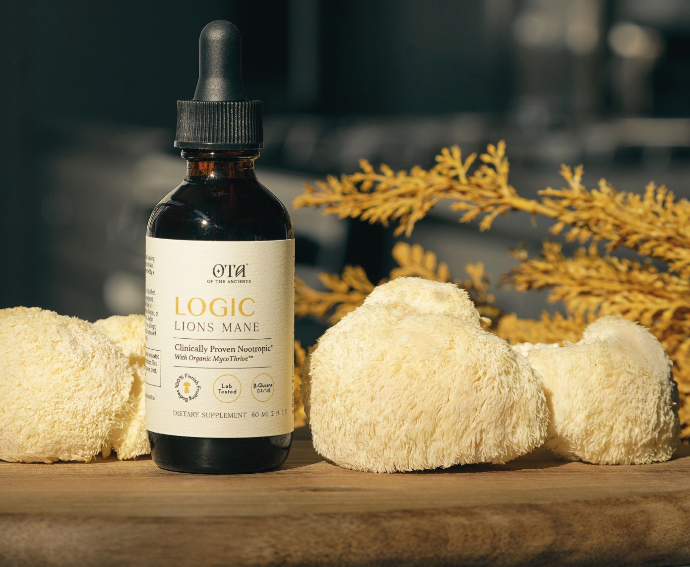 Logic Lion's Mane tincture on a wooden board beside whole lion's mane mushrooms.
