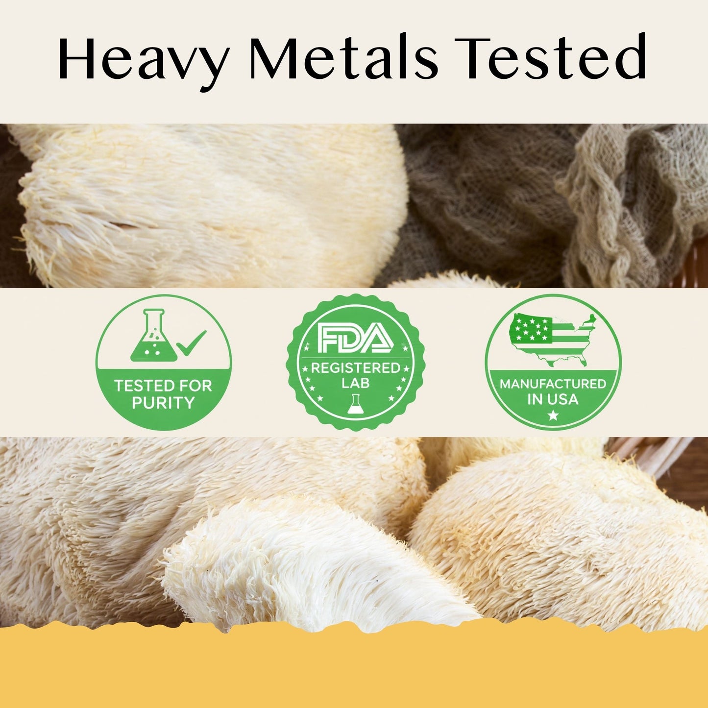 Logic Lion's Mane Tincture Clinically Proven Extract